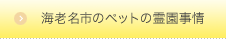 海老名市のペットの霊園事情